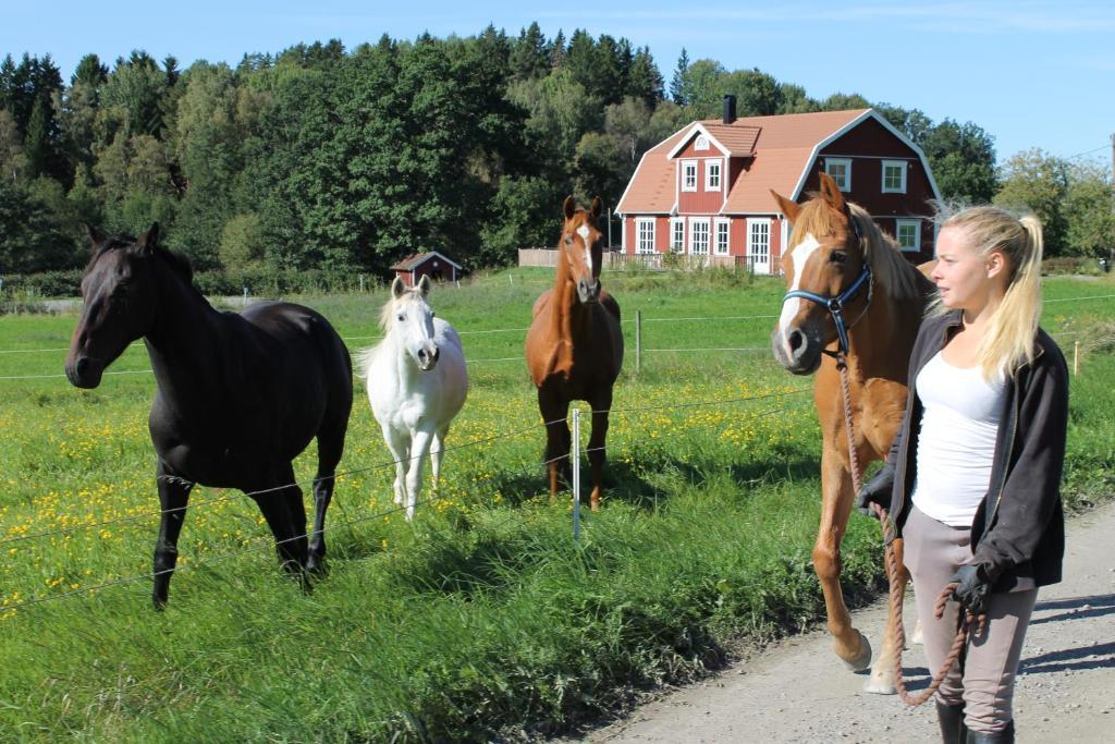 Rocklosa Gard Hotel Ollosa Eksteriør billede